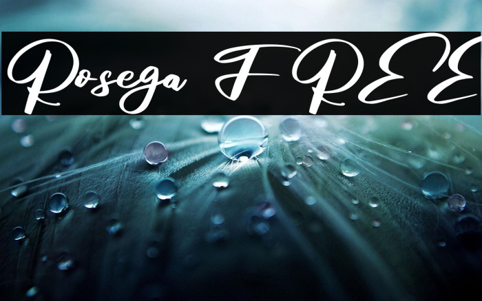 Rosega FREE Example 2