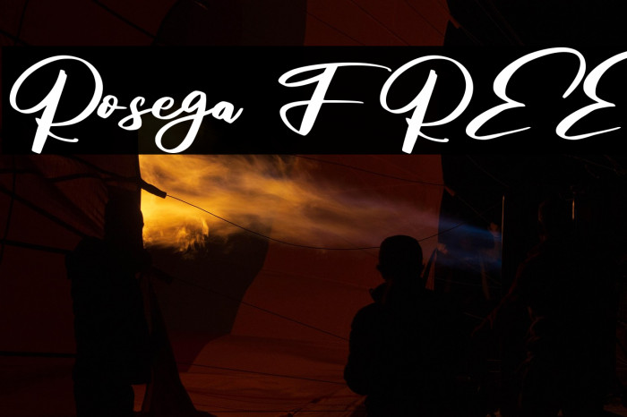 Rosega FREE Example 3