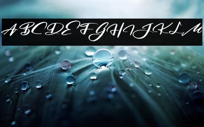 RosegaFREE Example 2