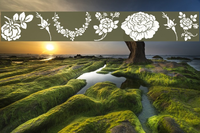 Rosegarden Font examples