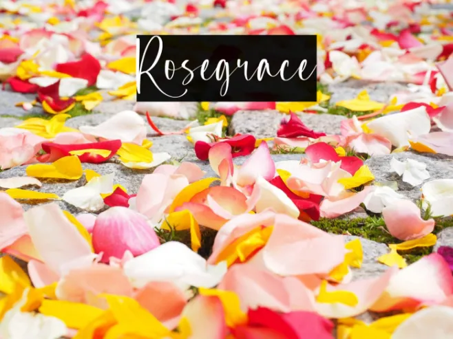 Rosegrace Example 3