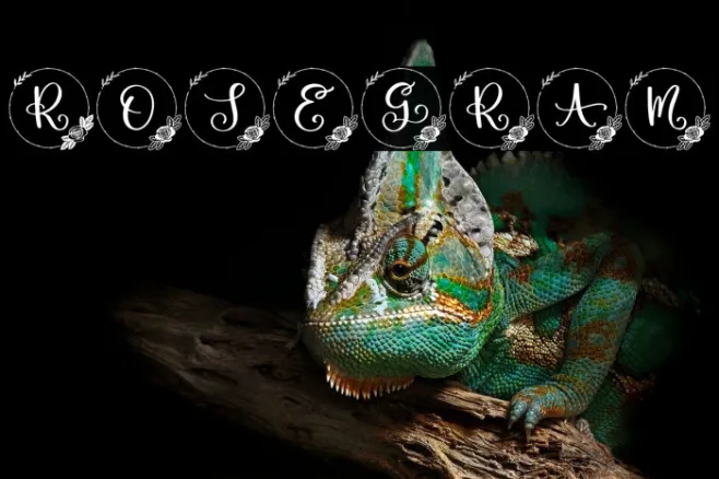Rosegram Example 3