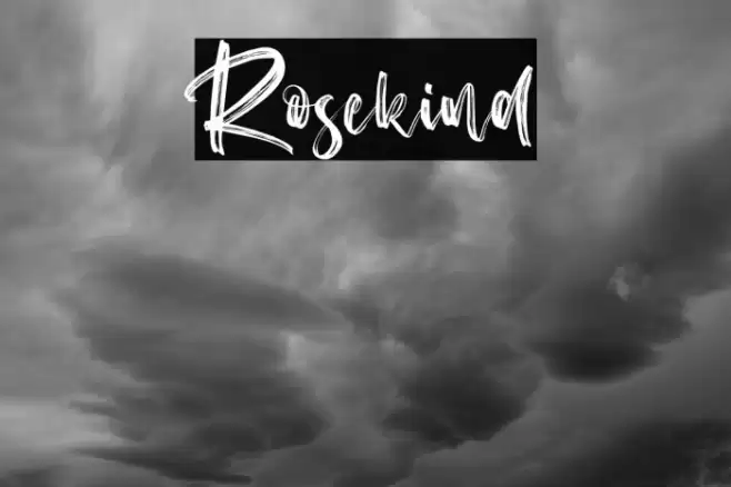 Rosekind Font examples