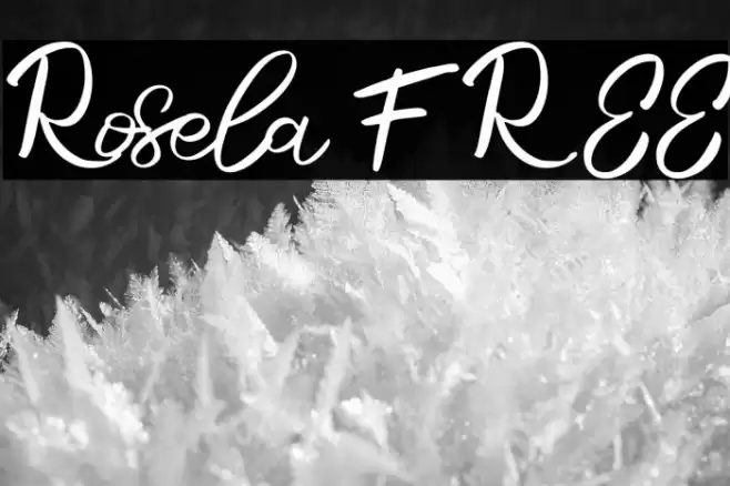 Rosela FREE Font examples