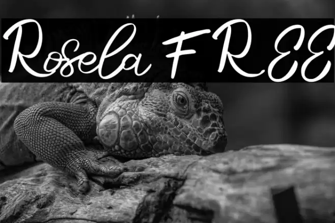 Rosela FREE Font examples