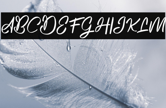 RoselaFREE Example 1