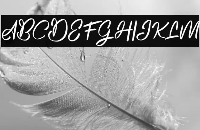 RoselaFREE Font examples