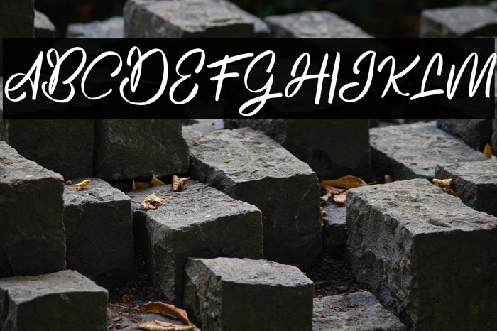 RoselaFREE Example 2