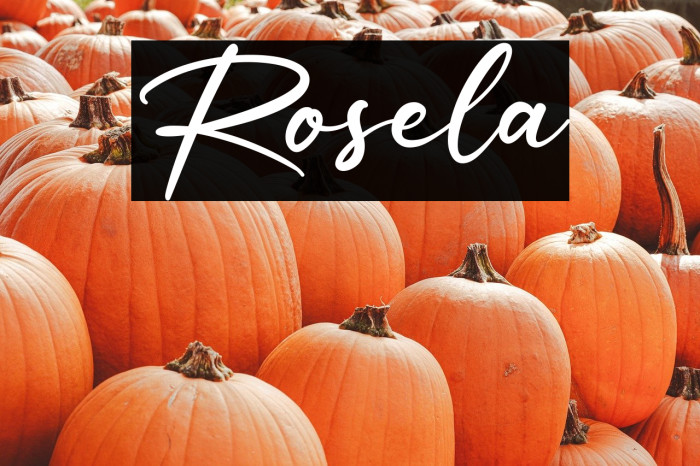 Rosela Example 1