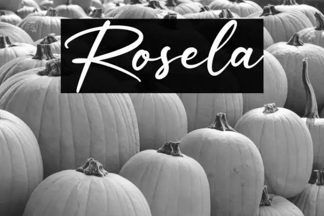 Rosela Font examples
