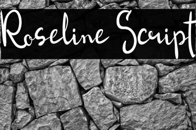 Roseline Script Font examples