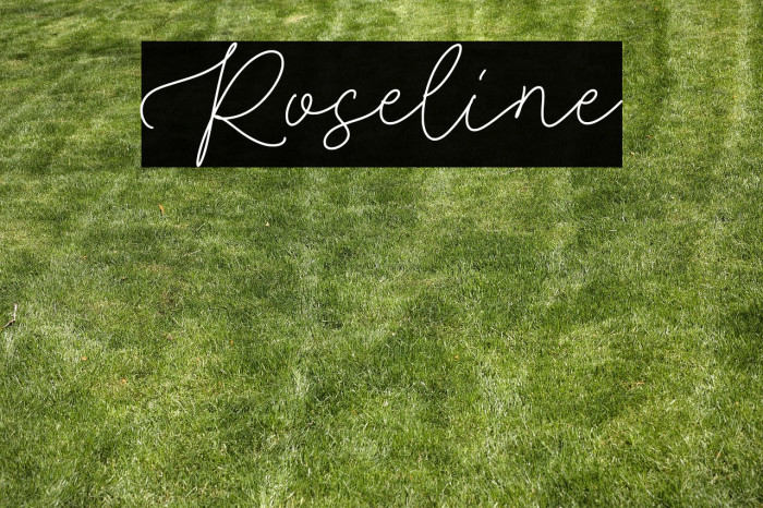 Roseline Example 1