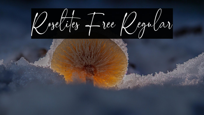 Roselites Free Regular Fonte examples