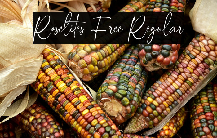 Roselites Free Regular Fonte examples