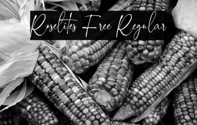 Roselites Free Regular Шрифта examples