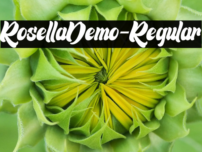 RosellaDemo-Regular Example 1
