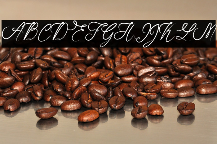 RosellaScript Example 1