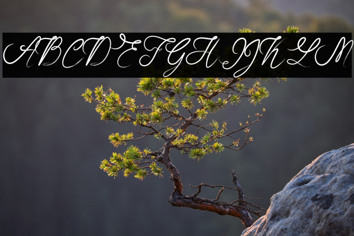 RosellaScript Example 3