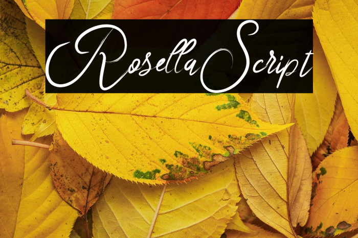 RosellaScript Example 1