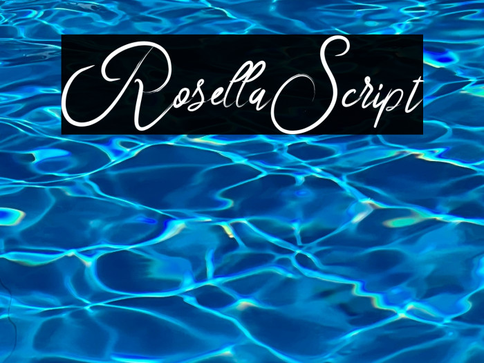 RosellaScript Example 2