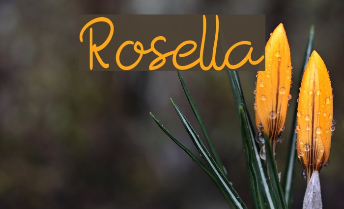 Rosella Font examples