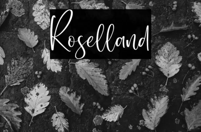 Roselland Font examples
