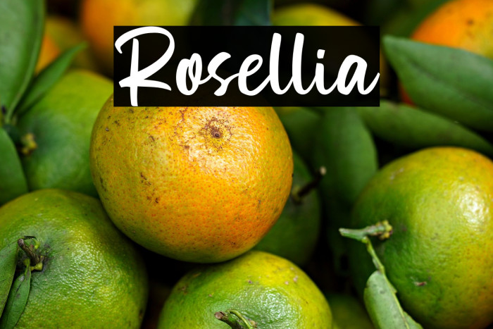 Rosellia Example 3