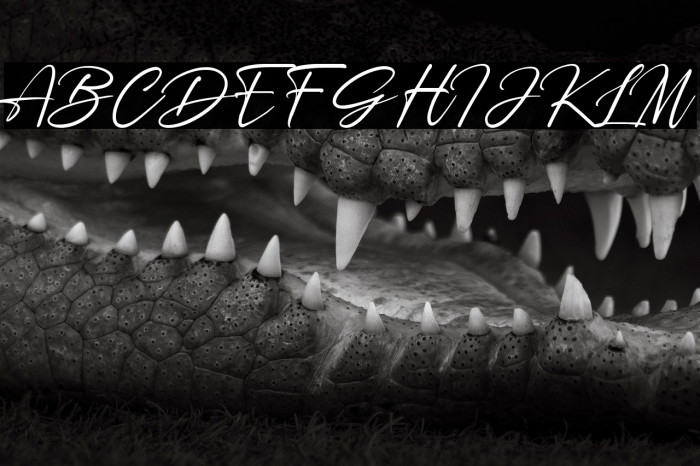 Rosellinda Alyamore Example 3