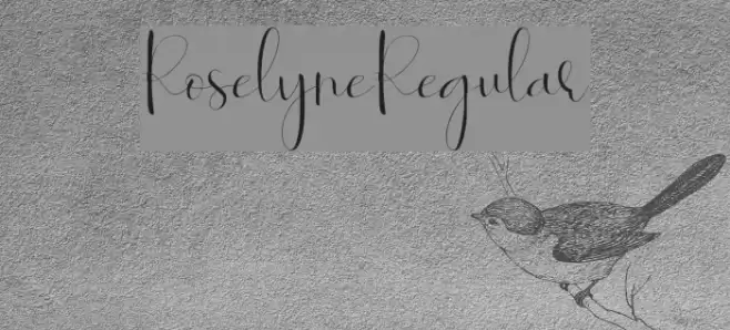Roselyne-Regular Font examples