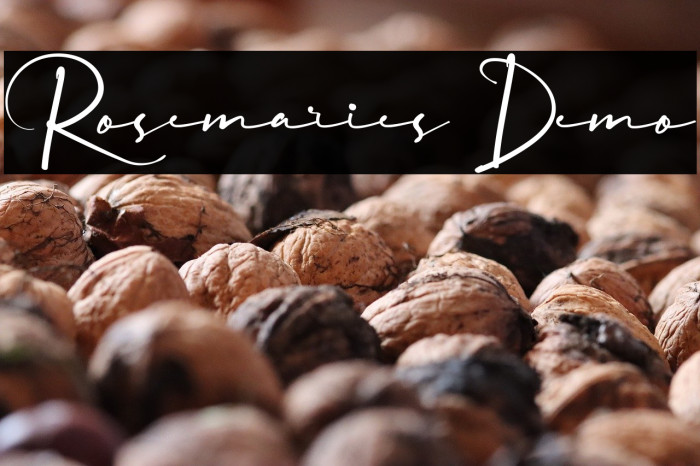 Rosemaries Demo Example 2