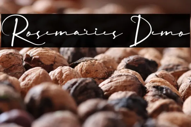 Rosemaries Demo Example 2