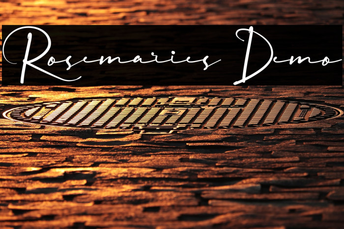 Rosemaries Demo Example 3