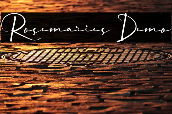 Rosemaries Demo Example 3