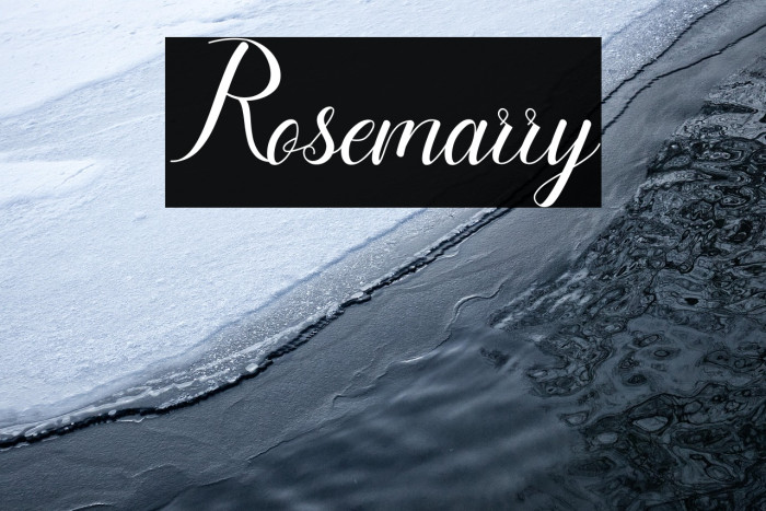 Rosemarry Example 3
