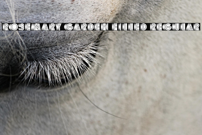 Rosemary Garden Filled Regular Example 3