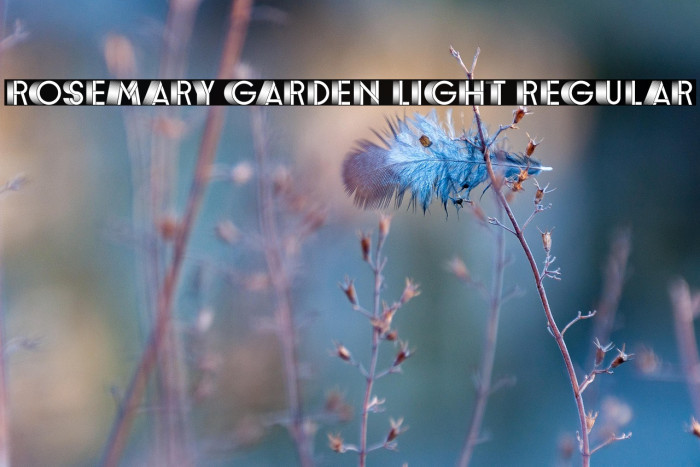Rosemary Garden Light Regular Example 2