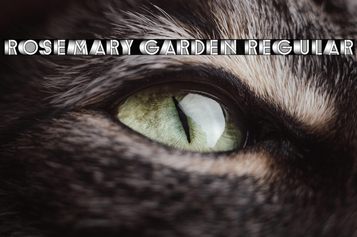 Rosemary Garden Regular Example 2