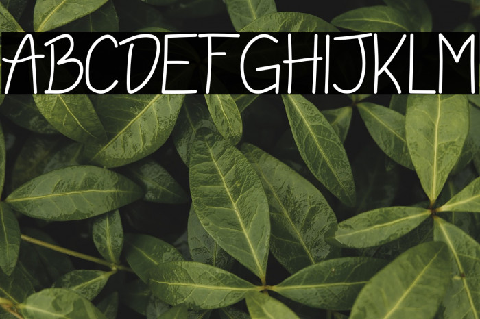 Rosemary Handwriting Example 3