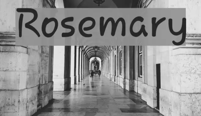 Rosemary Шрифта examples