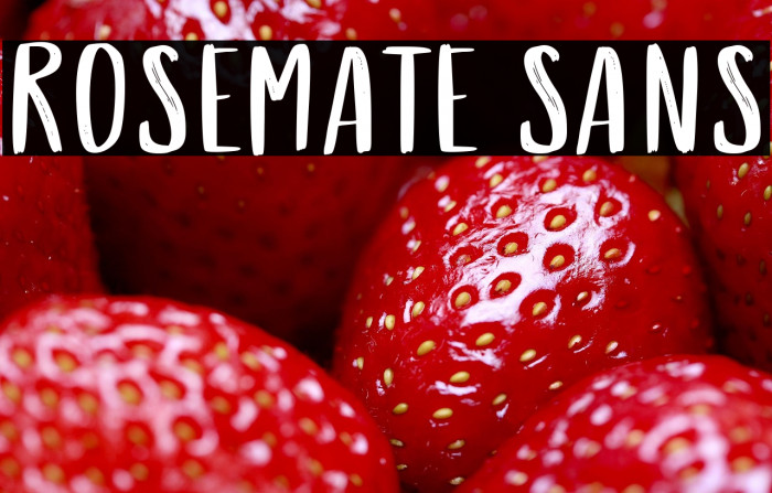 Rosemate Sans Example 1