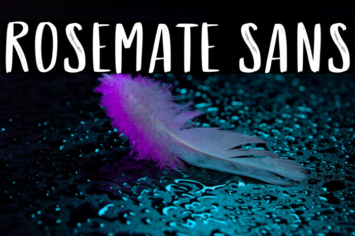 Rosemate Sans Example 2