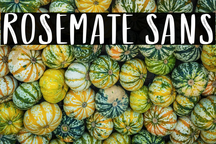 Rosemate Sans Example 3