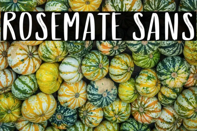 Rosemate Sans Example 3