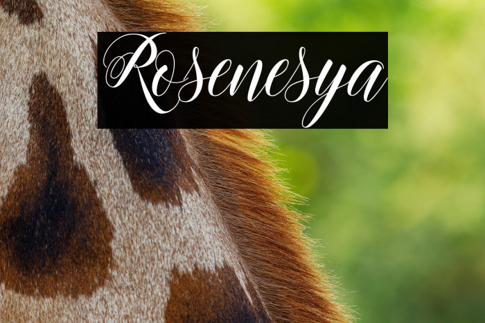 Rosenesya Example 1