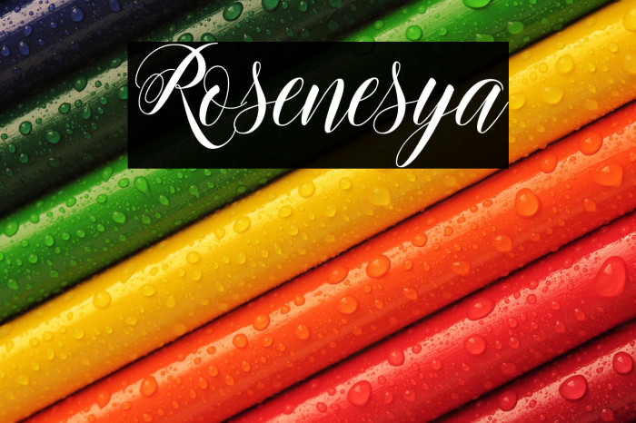 Rosenesya Example 3