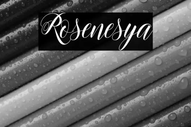 Rosenesya Font examples