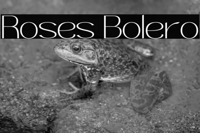 Roses Bolero Font examples