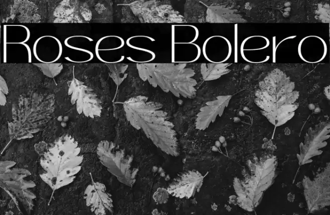 Roses Bolero Font examples