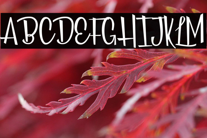 Roses Everywhere Personal Use  Example 2