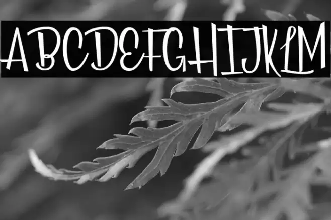 Roses Everywhere Personal Use Fuentes examples